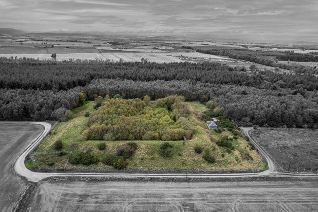 Thumbnail Land for sale in Pitkennedy, Forfar, Angus