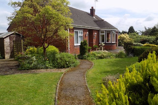 Thumbnail Detached bungalow for sale in Yew Tree Lane, Bradley