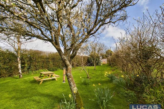 Cottage for sale in Ty Coed, Llangaffo, Llangaffo