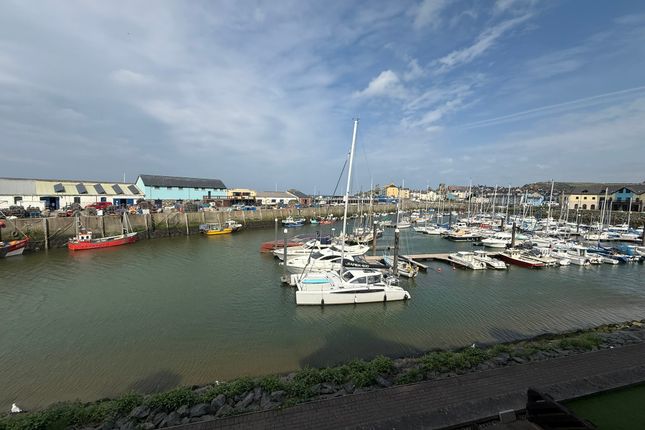 45, Y Lanfa, Aberystwyth photo 3