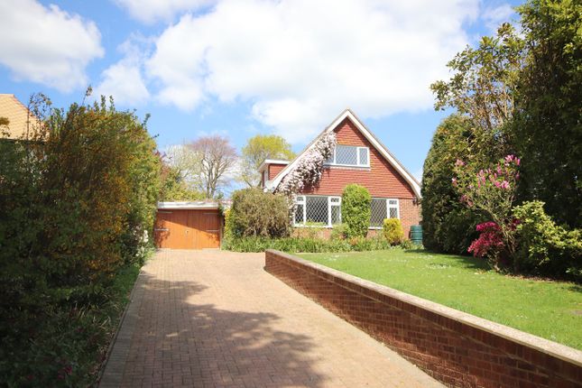 Thumbnail Detached bungalow for sale in Collington Grove, Bexhill On Sea