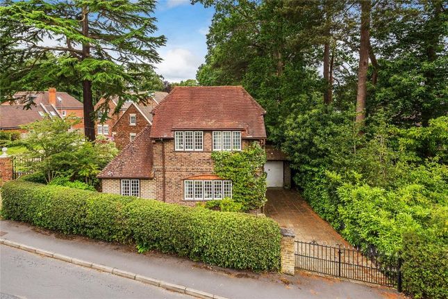 Thumbnail Detached house to rent in Holly Bank Road, Hook Heath, Woking