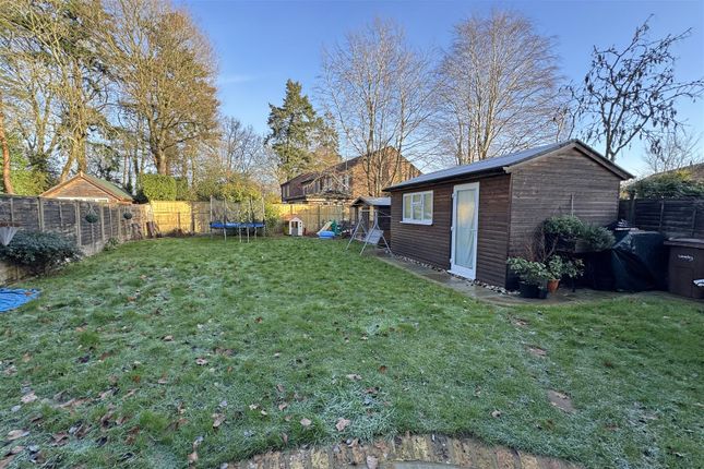 24, Amberley Road, Milford photo 3