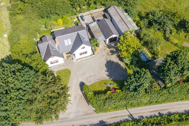 Beechwood, Llandysul photo 4