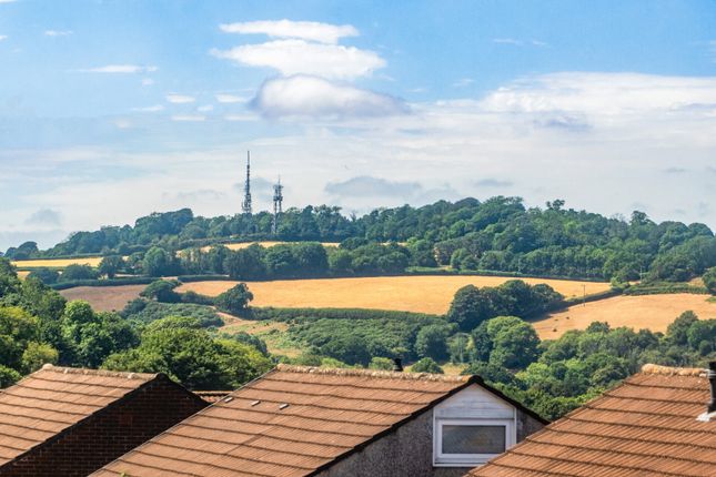1 Greenlees Drive, Plympton Devon, Devon photo 4