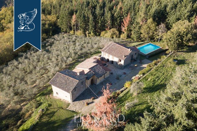 Thumbnail Villa for sale in Pelago, Firenze, Toscana