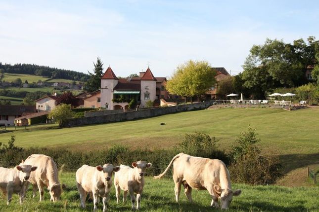 Ch&acirc;teau for sale in Bourgvilain, South Burgundy, Burgundy To Beaujolais