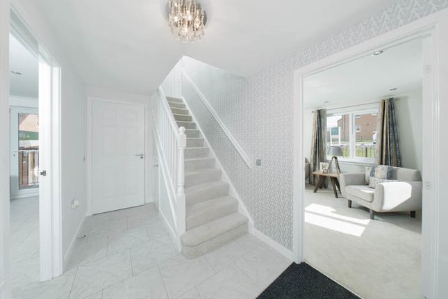 Detached house for sale in "The Dunblane" at Mid Craigie Road, Dundee