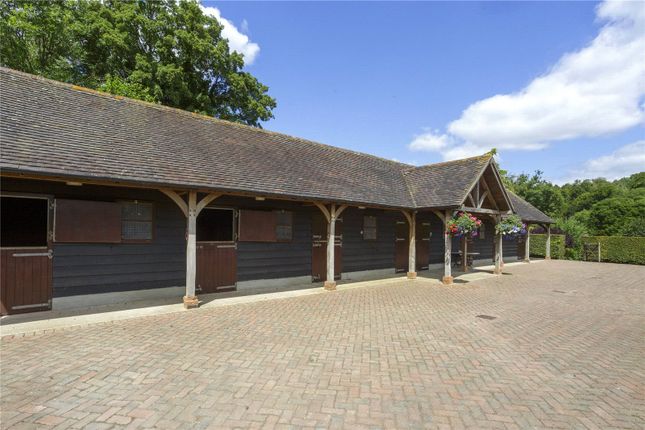 Stables
