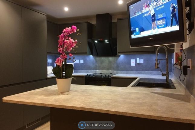 Modern Kitchen