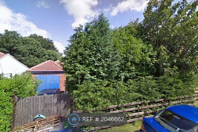 Thumbnail Semi-detached house to rent in Boroughbridge, Boroughbridge