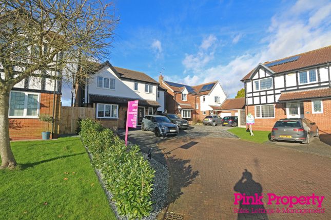 Thumbnail Detached house to rent in Colleridge Grove, Beverley