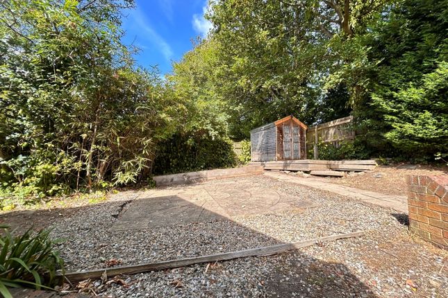 25Bf9405-Cbae-4256-8577-d71Ea2Ea83F5