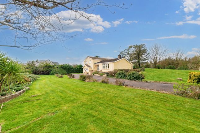 Detached house for sale in 24 Crossgar Road East, Crossgar, Downpatrick, County Down