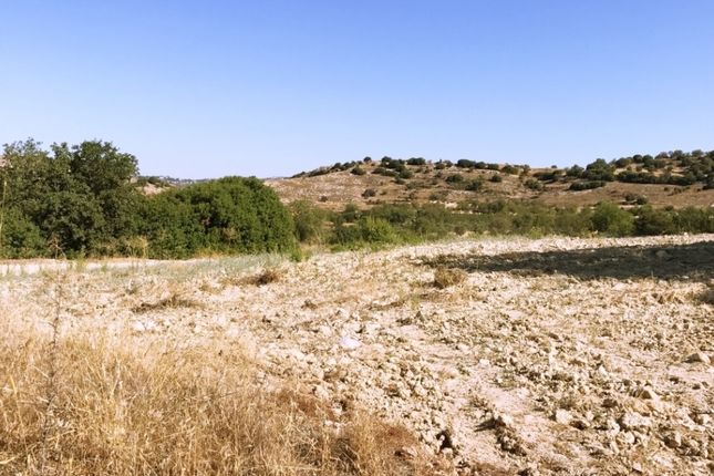 Thumbnail Land for sale in Lemona, Paphos, Cyprus