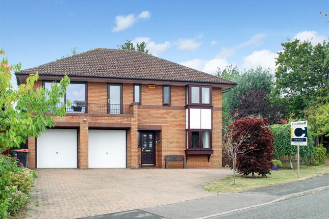 Extended Studyfamily Room (2560 x 1920 Px).Jpg.Jpg