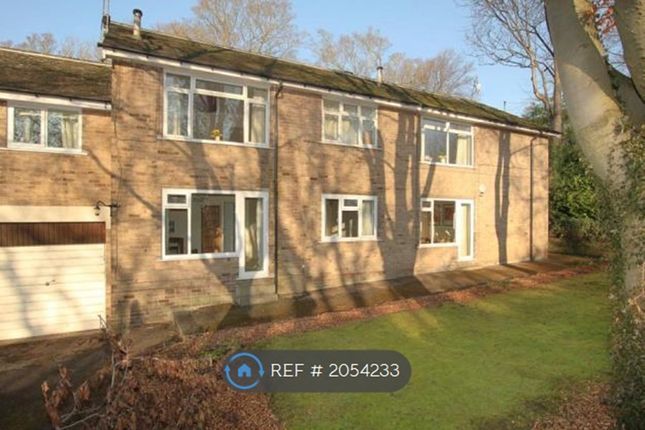 Thumbnail Flat to rent in Ranmoor Chase, Sheffield