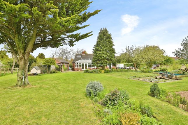 Detached bungalow for sale in North Street, Great Dunham, King's Lynn