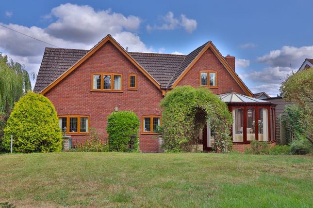 Rear Of House