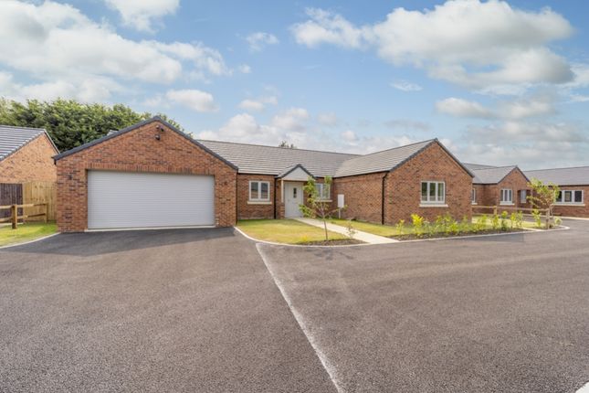 Thumbnail Detached bungalow for sale in Carmela Close, Weston, Spalding, Lincolnshire