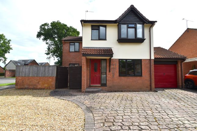 Thumbnail Detached house to rent in Beech Close, Willand, Cullompton