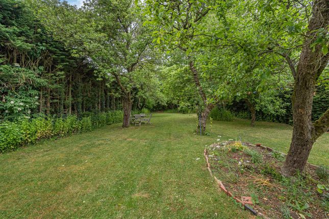 Woodstock, Crawley End, Chrishall photo 4