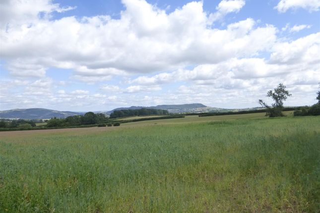 Lot 4 - Approx. 33.49 Acres Of Arable/Pasture Land