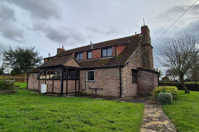 Detached house to rent in Risbury, Leominster