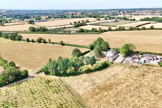 Ankerton Ash, Stafford photo 4