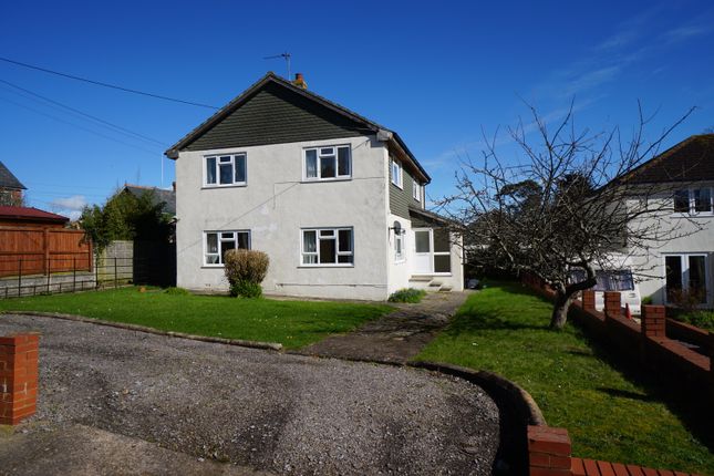 Thumbnail Detached house to rent in Fair View Lane, Colyford