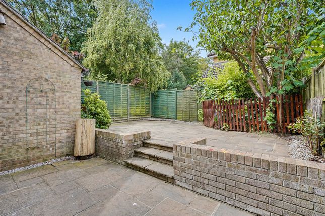 65 Barry Lynham Drive, Newmarket photo 4