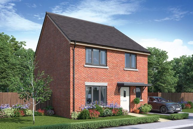 Detached house for sale in "The Reedmaker" at Stoke Albany Road, Desborough, Kettering
