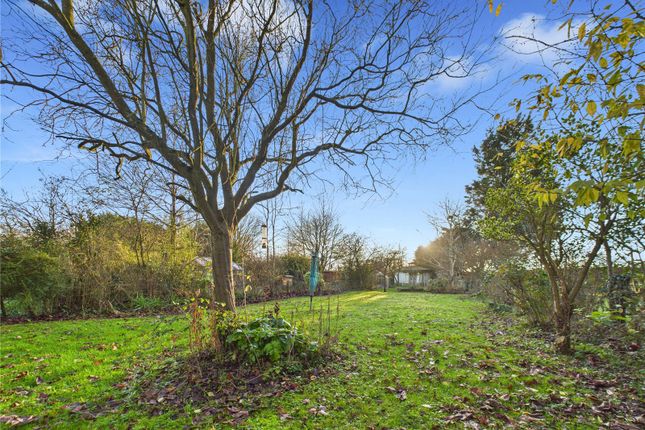 11, Swanfield, Bury St. Edmunds photo 2
