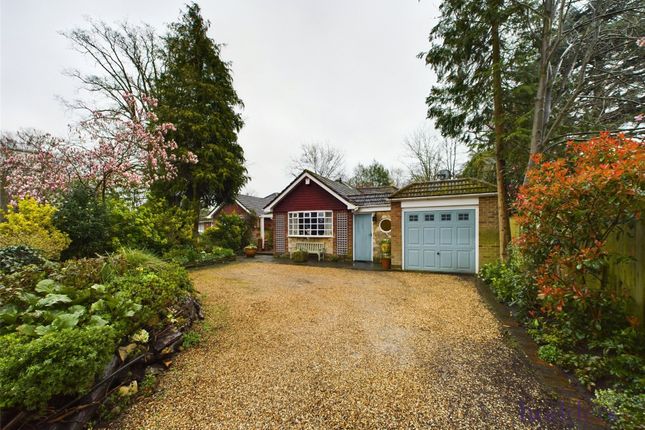 Thumbnail Bungalow for sale in Foxhills Road, Ottershaw, Surrey