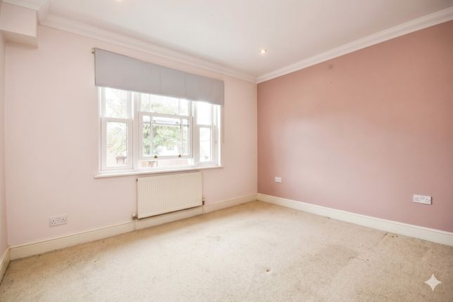 173, Broomfield Road, Chelmsford photo 4
