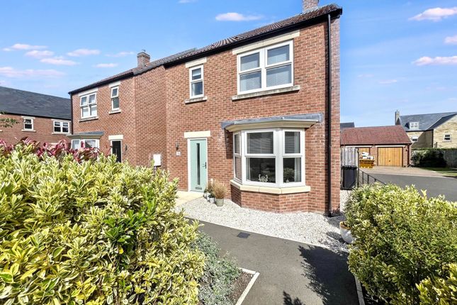 15, Wilding Place, Morpeth photo 4