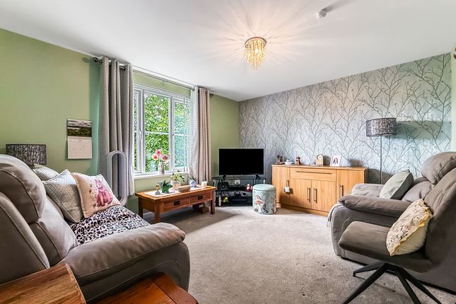 11 Gilligans Way, Hamilton photo 3