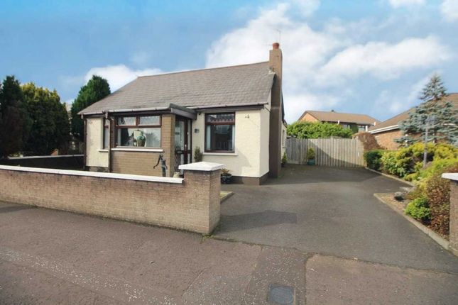 Thumbnail Detached bungalow for sale in Larne Road, Carrickfergus