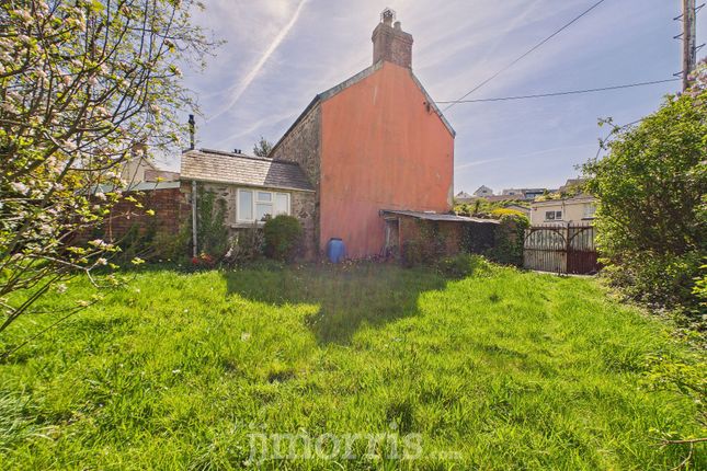 Awelon Plasyfron, Fishguard photo 4