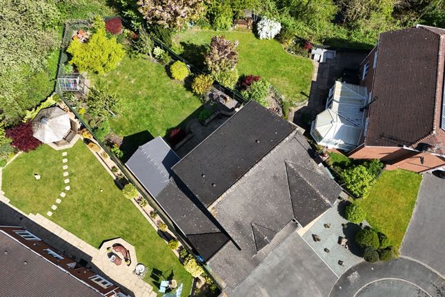 3 Kingfisher Drive, Stafford photo 4
