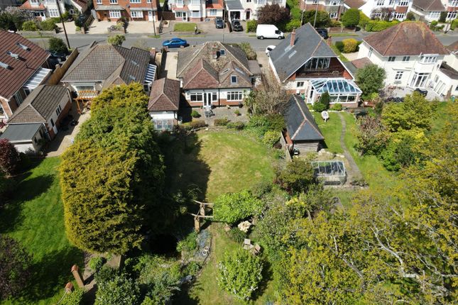 Thumbnail Bungalow for sale in Marley Avenue, New Milton, Hampshire