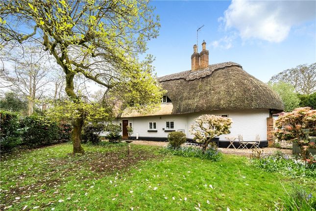 Thumbnail Detached house for sale in Danes Road, Shootash, Romsey, Hampshire