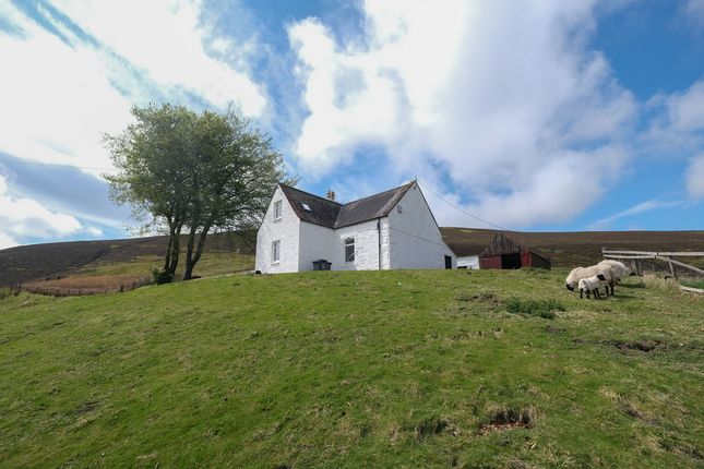 Wanlockhead, Biggar photo 4