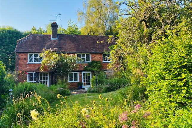 Thumbnail Detached house for sale in Haslemere Road, Brook, Godalming