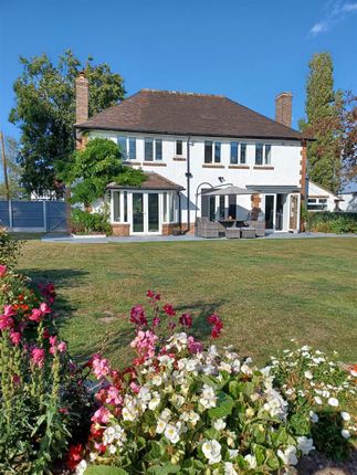 Img-20250810-Wa0017 Mp.Jpg