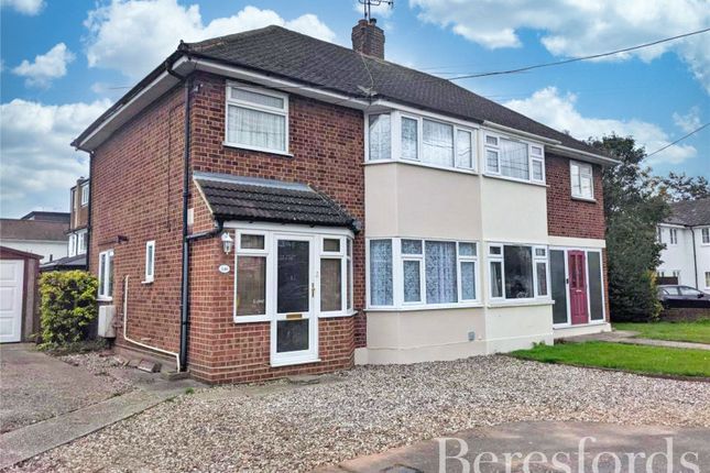 Thumbnail Semi-detached house to rent in Broomfield Road, Broomfield, Chelmsford