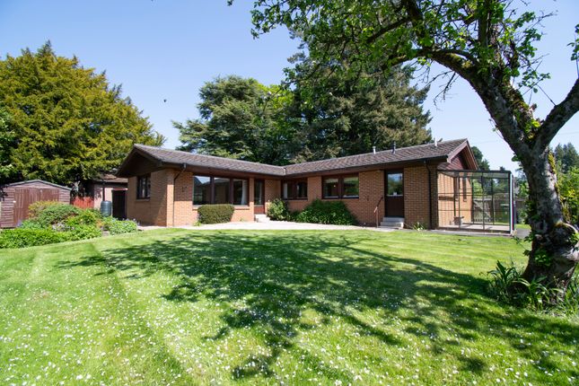 Thumbnail Detached bungalow for sale in Argyll Street, Brechin