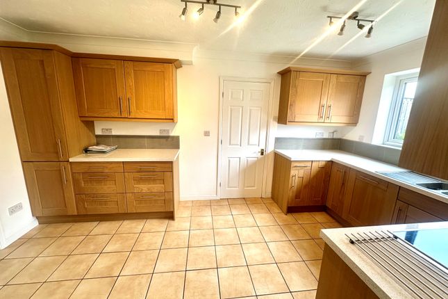 3, Conwy photo 5