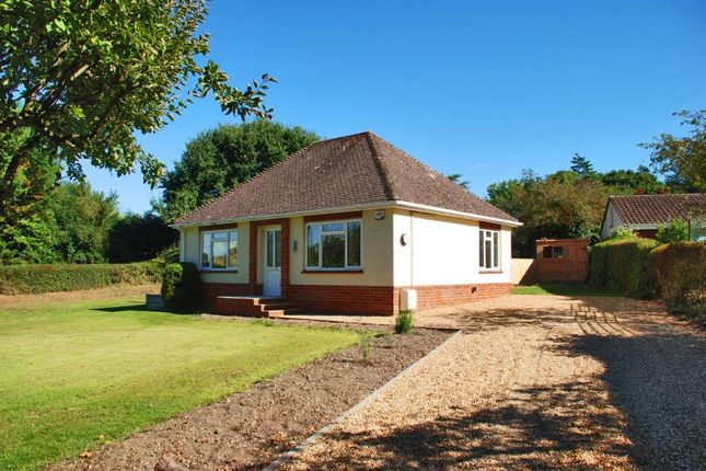 Thumbnail Bungalow to rent in Tethering Drove, Hale, Fordingbridge, Hampshire