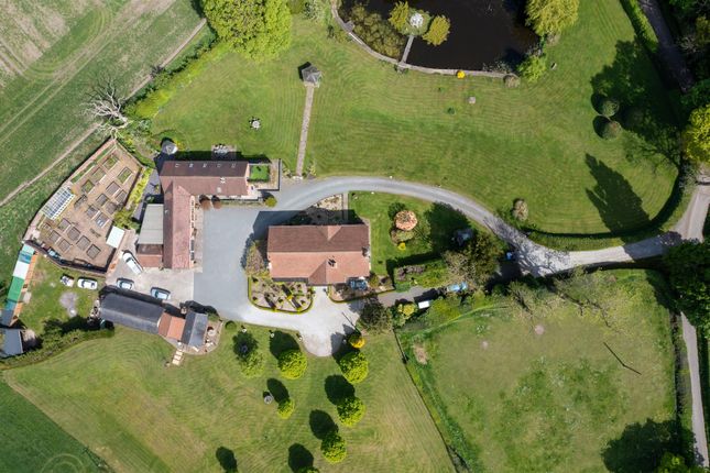Buddileighfarm-47.Jpg